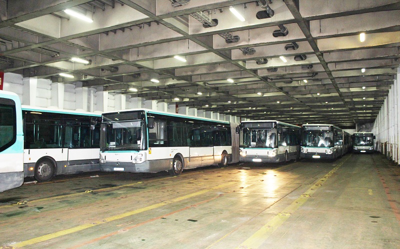 الدفعة الثانية جاهزة..   ألف حافلة لتأمين العودة المدرسية ..